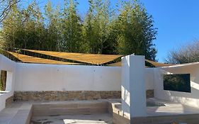 Vairocana. La Torre de Vairocana
